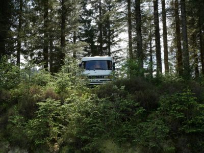 Hymer in the Forest